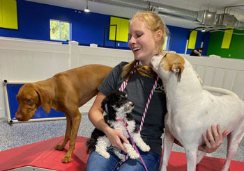 Dog Daycare Okemos MI