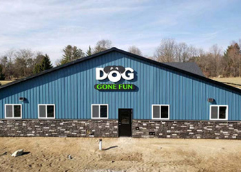 Dog Daycare Okemos MI