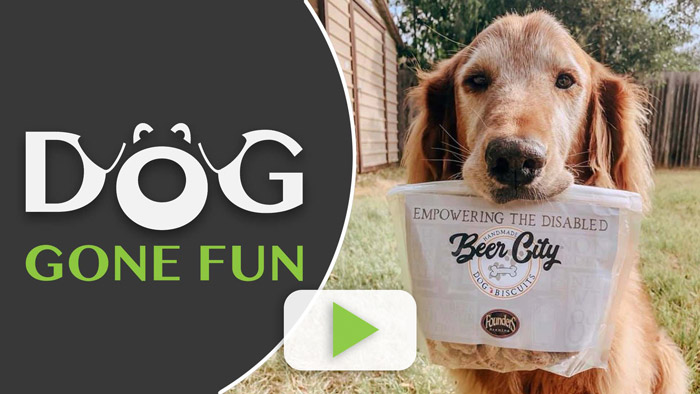 Dog Boarding Okemos MI Beer City Biscuits