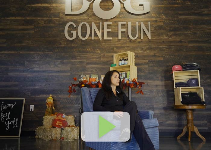 Dog Gone Fun Dog Gone Fun